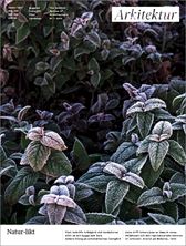 Arkitektur nr 1 2026