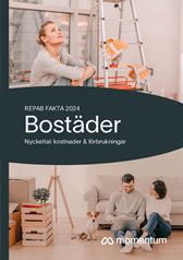 Bostäder Repab Fakta 2024