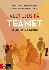 Allt ljus på teamet